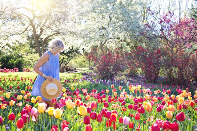 fiori